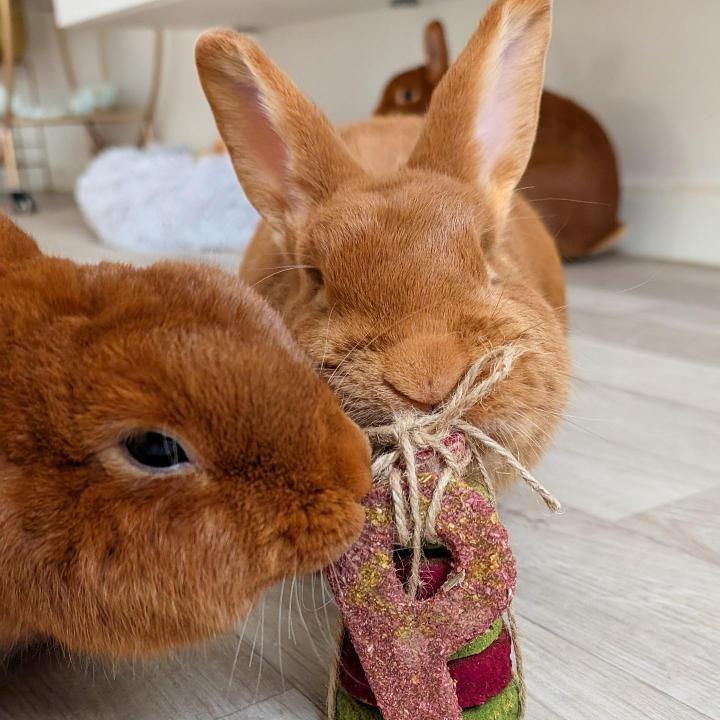 Miniatura: Multi-Tier Celebration Cake