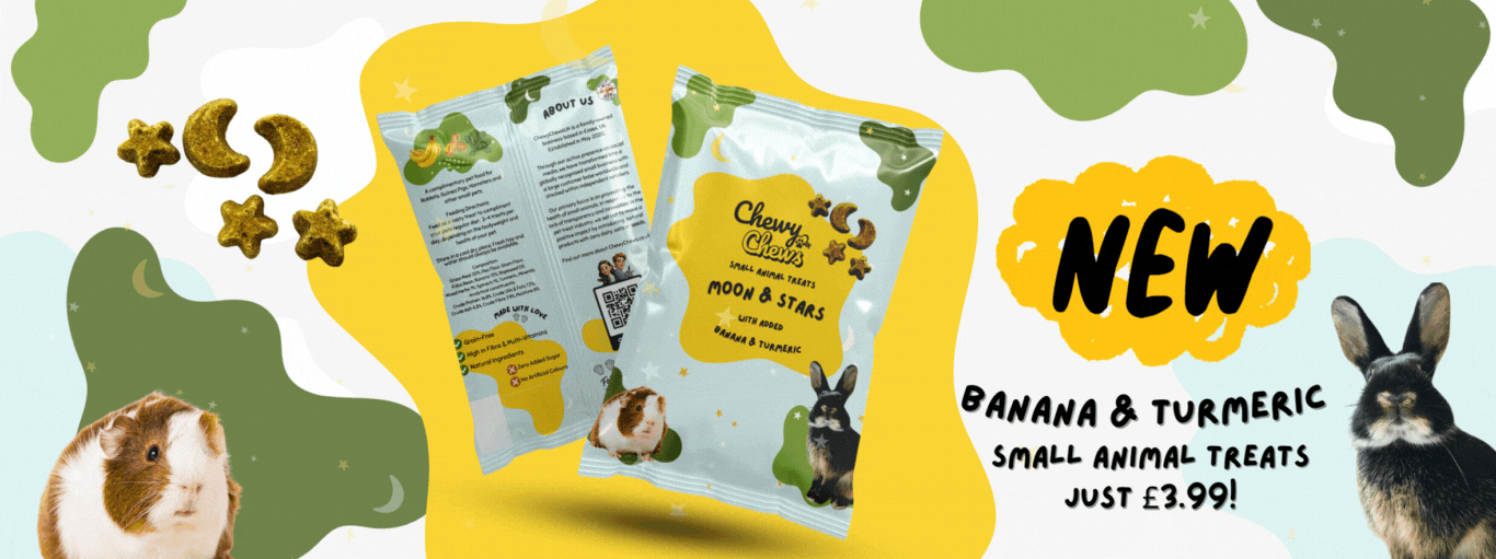 HOMEPAGE GRAPHICS AND HEADERS (1).gif