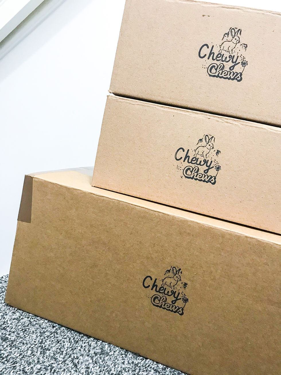 Miniatura: Guinea Pig Monthly Treat & Forage Box