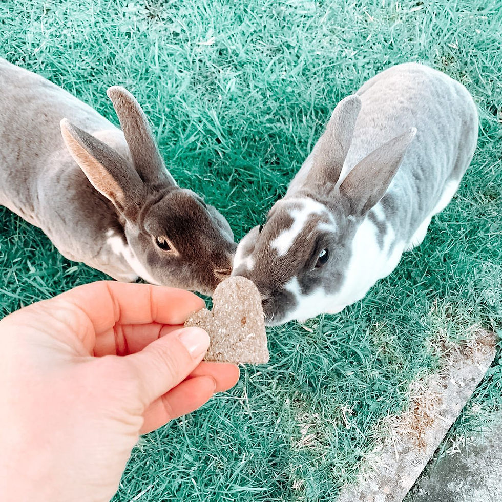 Miniatura: Love Heart Chews