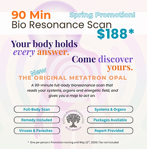 Met Opal Web PROMO (1).png