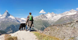 Hiker and dog overlooking majestic Swiss Alps
