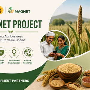 Solapur Millet Value Chain Development Project
