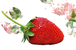 strawberries_edited.png