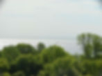 Forest Beach Migratory Preserve