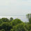 Thumbnail: Forest Beach Migratory Preserve