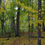 Thumbnail: Kratzsch Conservancy