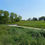 Thumbnail: Forest Beach Migratory Preserve