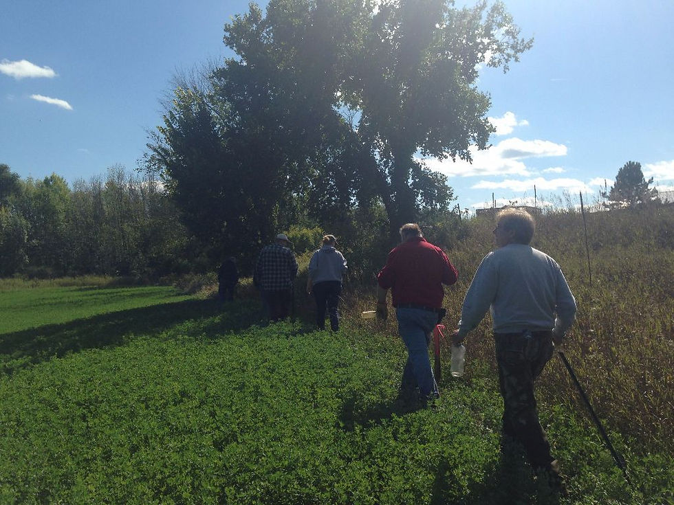 Stewardship  Volunteer Workday