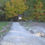 Thumbnail: Kurtz Woods Natural Area