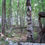 Thumbnail: Kurtz Woods Natural Area