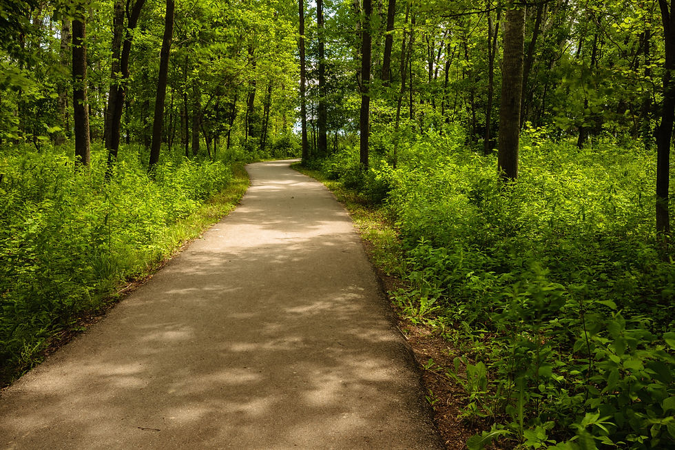 Path to Harrington in June.jpeg