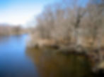 Bratt Woods Preserve