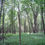 Thumbnail: Huiras Lake Natural Area