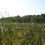 Thumbnail: Huiras Lake Natural Area