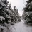 Thumbnail: Cedarburg Environmental Study Area