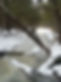 CenterLaneB.jpg