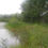 Thumbnail: Cedarburg Environmental Study Area
