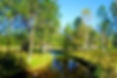 Lynn Preserve