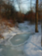 MacLaurin Woods Preserve