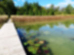 Biehl Nature Preserve