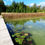 Thumbnail: Biehl Nature Preserve on Lake Twelve