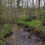 Thumbnail: Decorah Woods Preserve