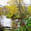 Thumbnail: Kratzsch Conservancy