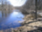 Fellenz Woods