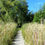 Thumbnail: Biehl Nature Preserve on Lake Twelve