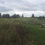 Thumbnail: Forest Beach Migratory Preserve