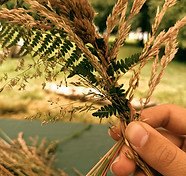 IMG20230701142746_edited.jpg