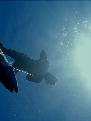 BOATING 101: Sustainable Spearfishing: Honor the Entire Ecosystem