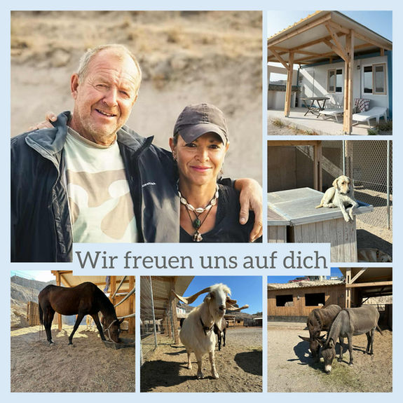 ⭐️Werde Volontär:in im SAWA-Team  ⭐️