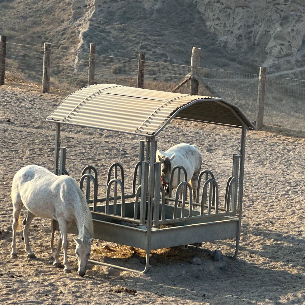 🚨 HEU-ALARM AUF SANTORINI 🚨