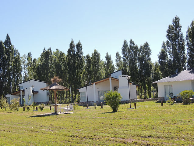 DSCN9729.JPG