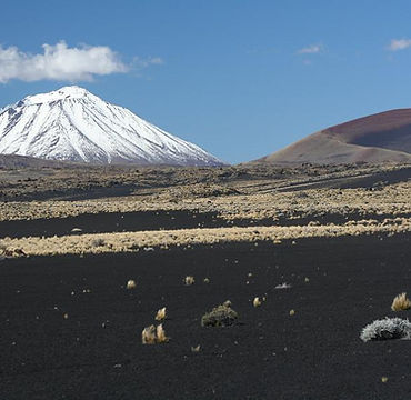 la-payunia-3.jpg