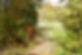 f559adaa-dafb-41f9-9b00-f7a721fc0356.JPG