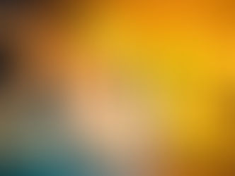 O que os pequenos empresários podem esperar de 2019