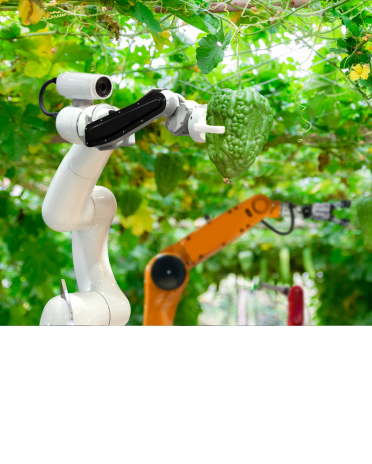 Untitled design - 2025-01-20T122224.140.png