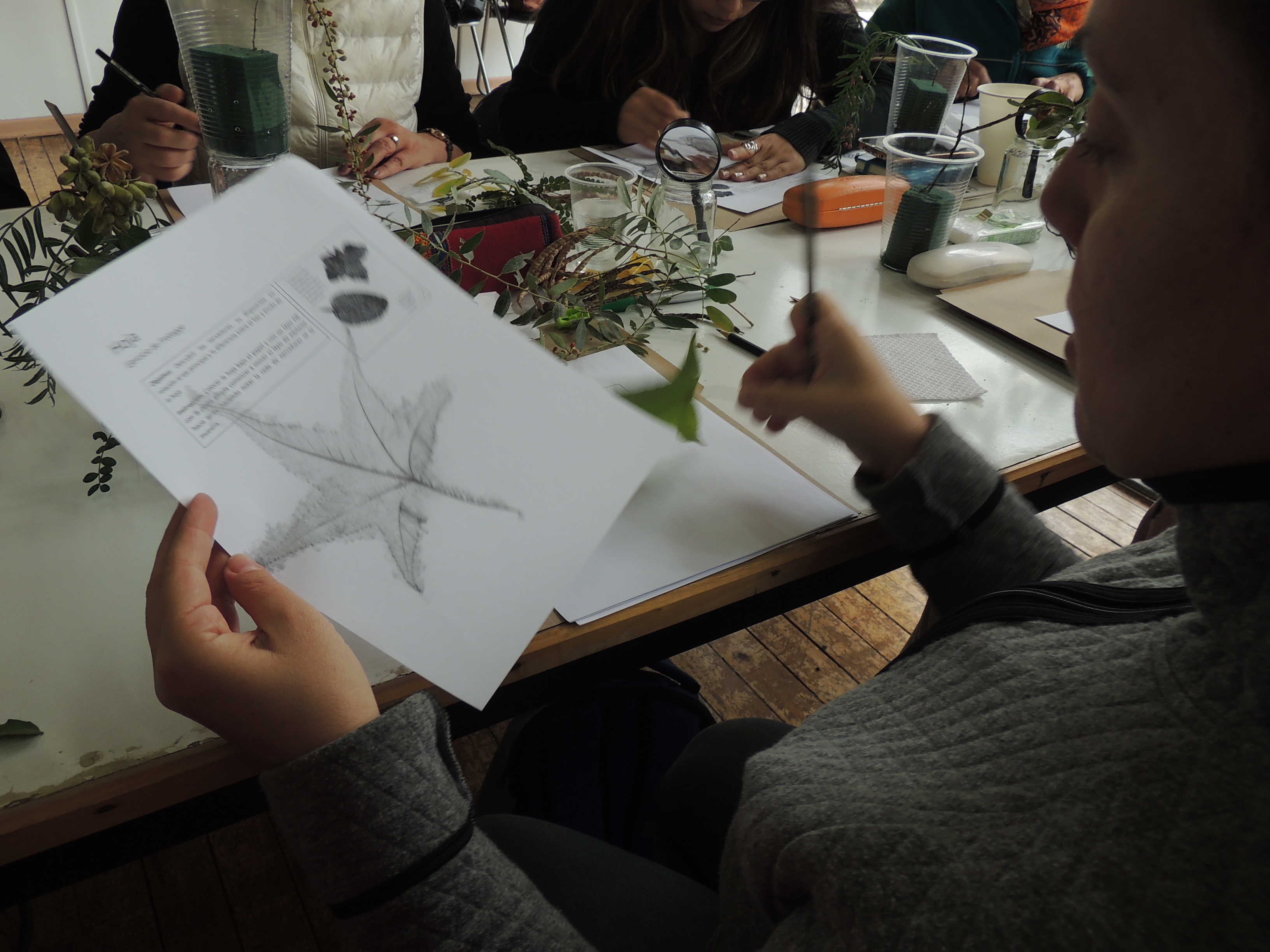 Taller Botanica ilustrada Bosque Stgo-abril17