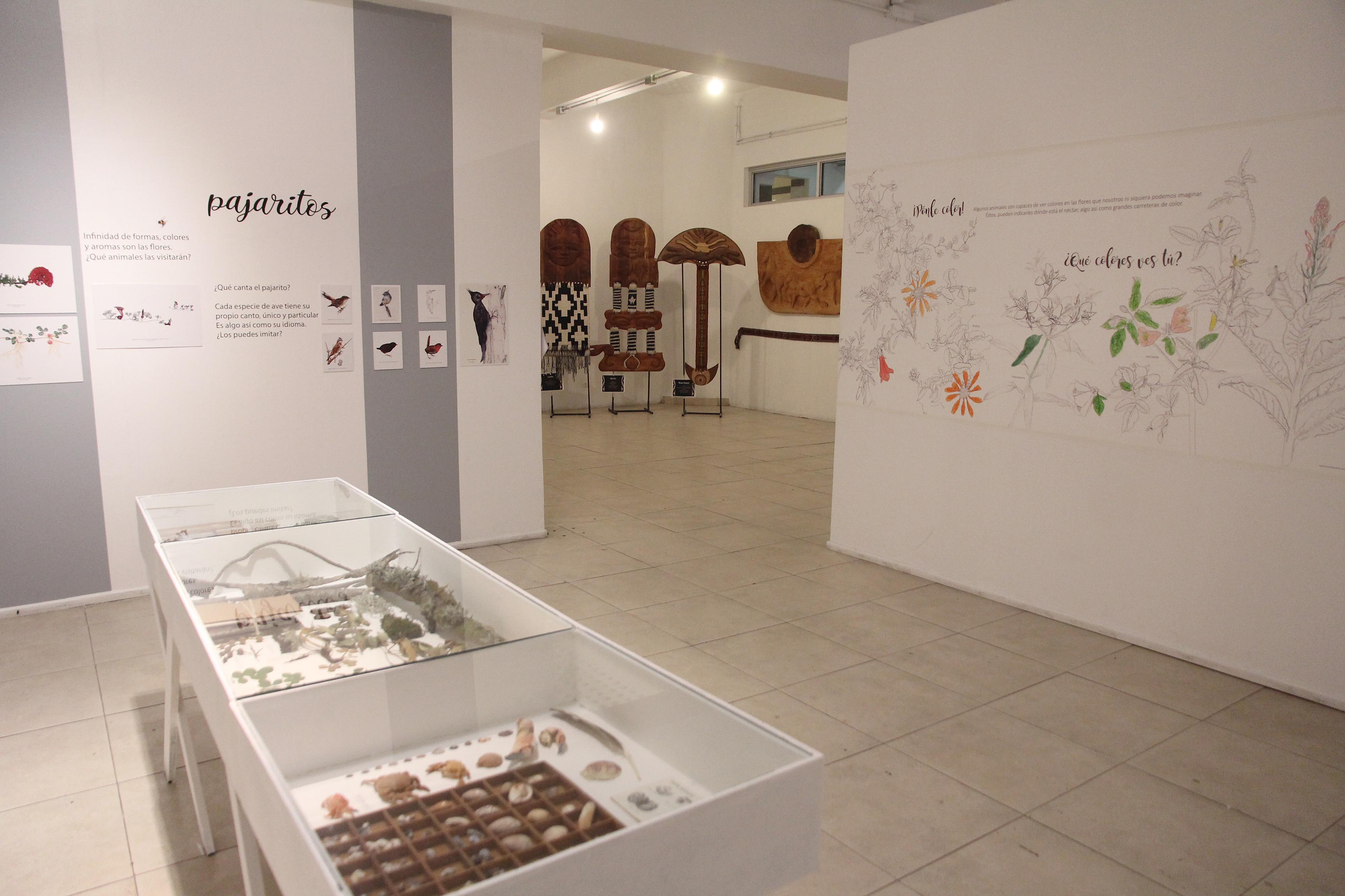 Exposicion CENTEX