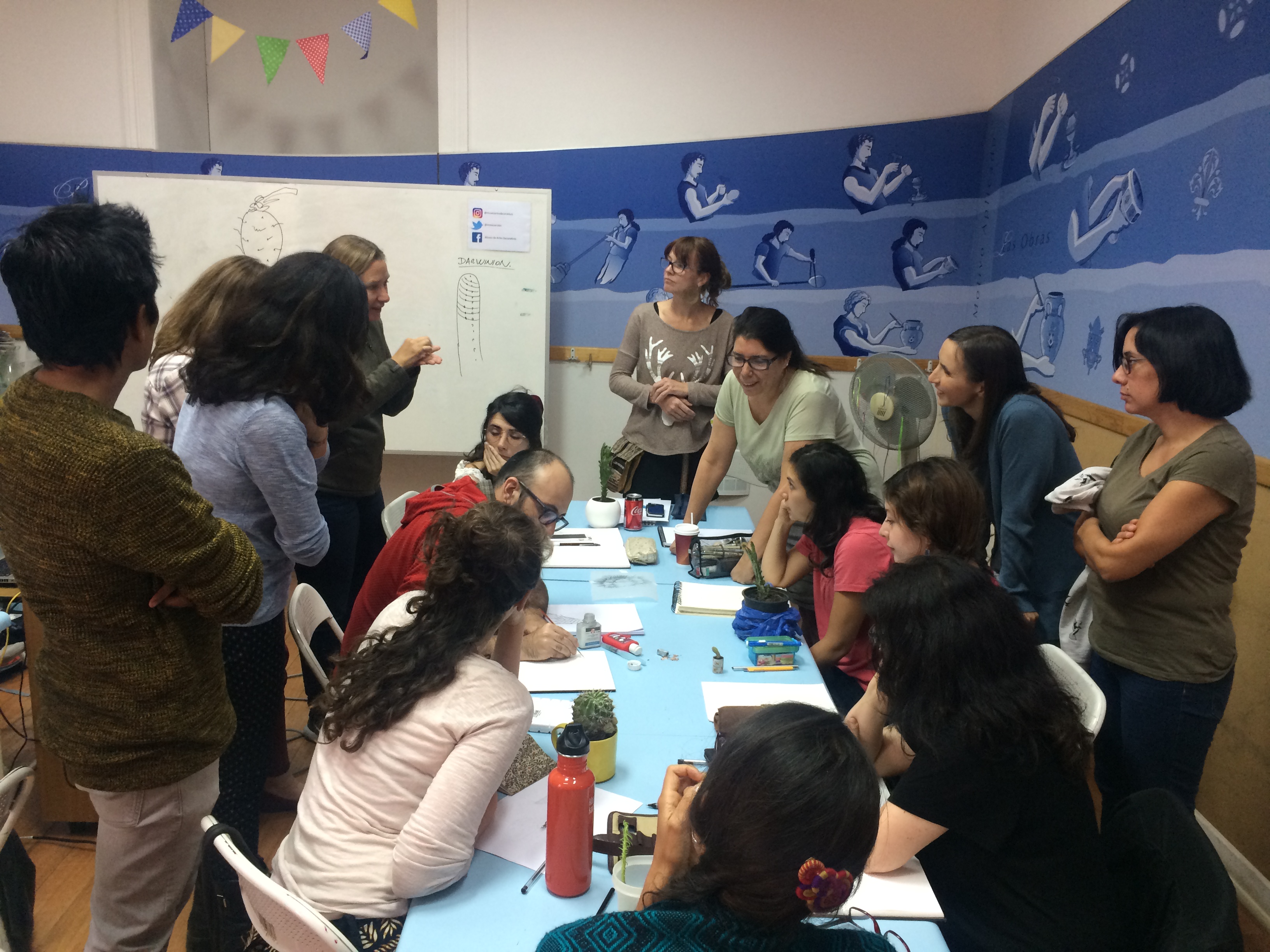 Taller ilustración de cactáceas