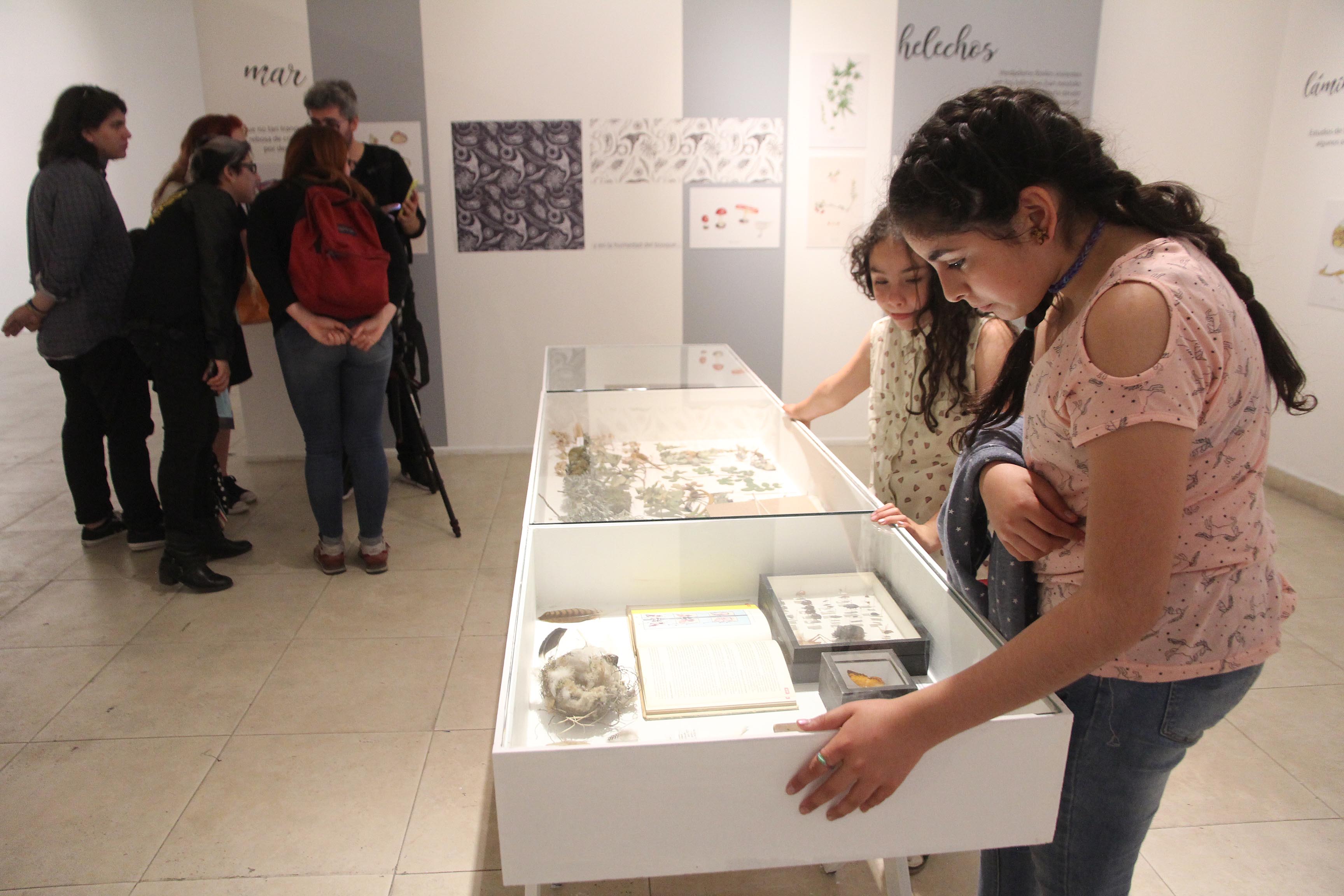 Exposicion CENTEX