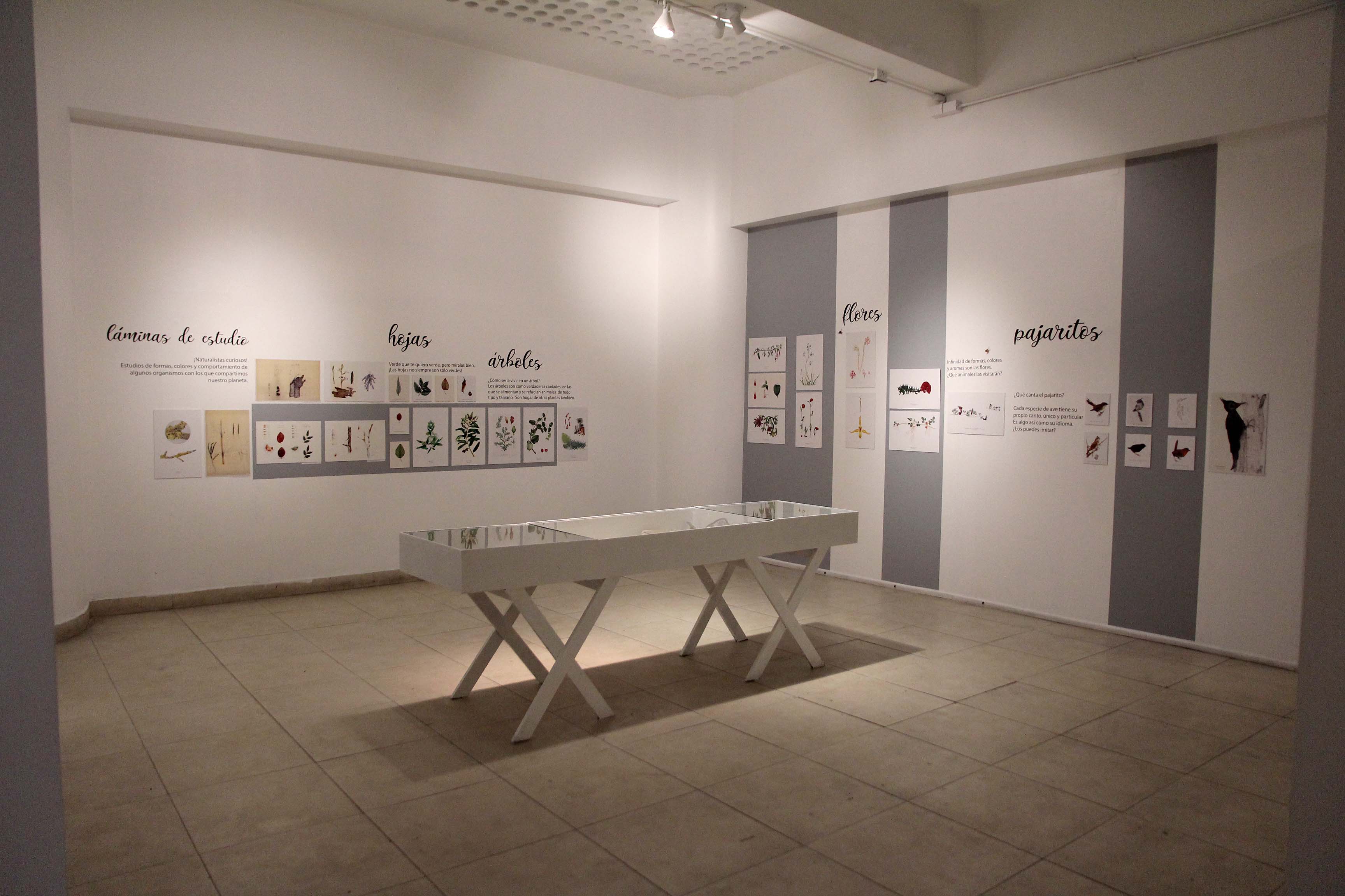 Exposicion CENTEX
