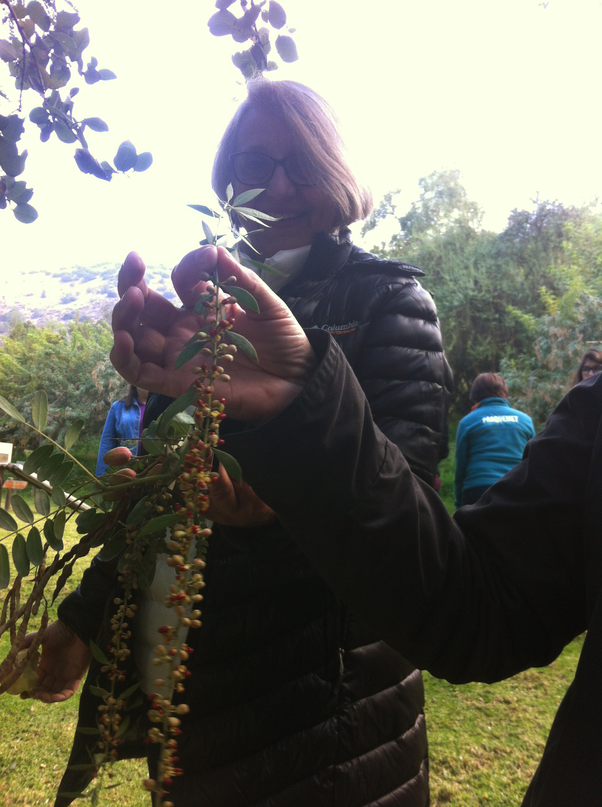 Taller Botanica ilustrada Bosque Stgo-abril17-973