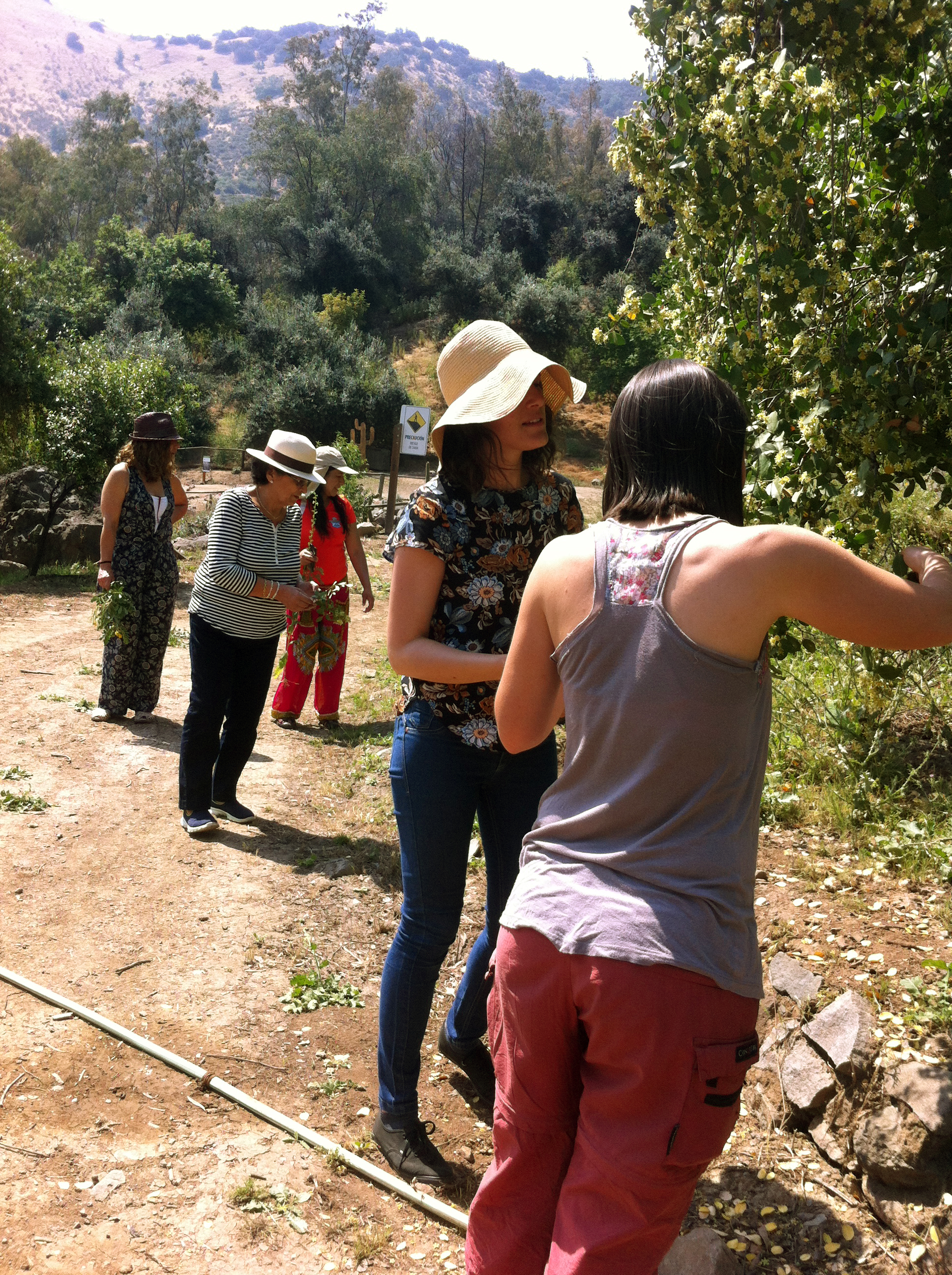 Taller Botanica Ilustrada Bosque Stgo-nov16-5008