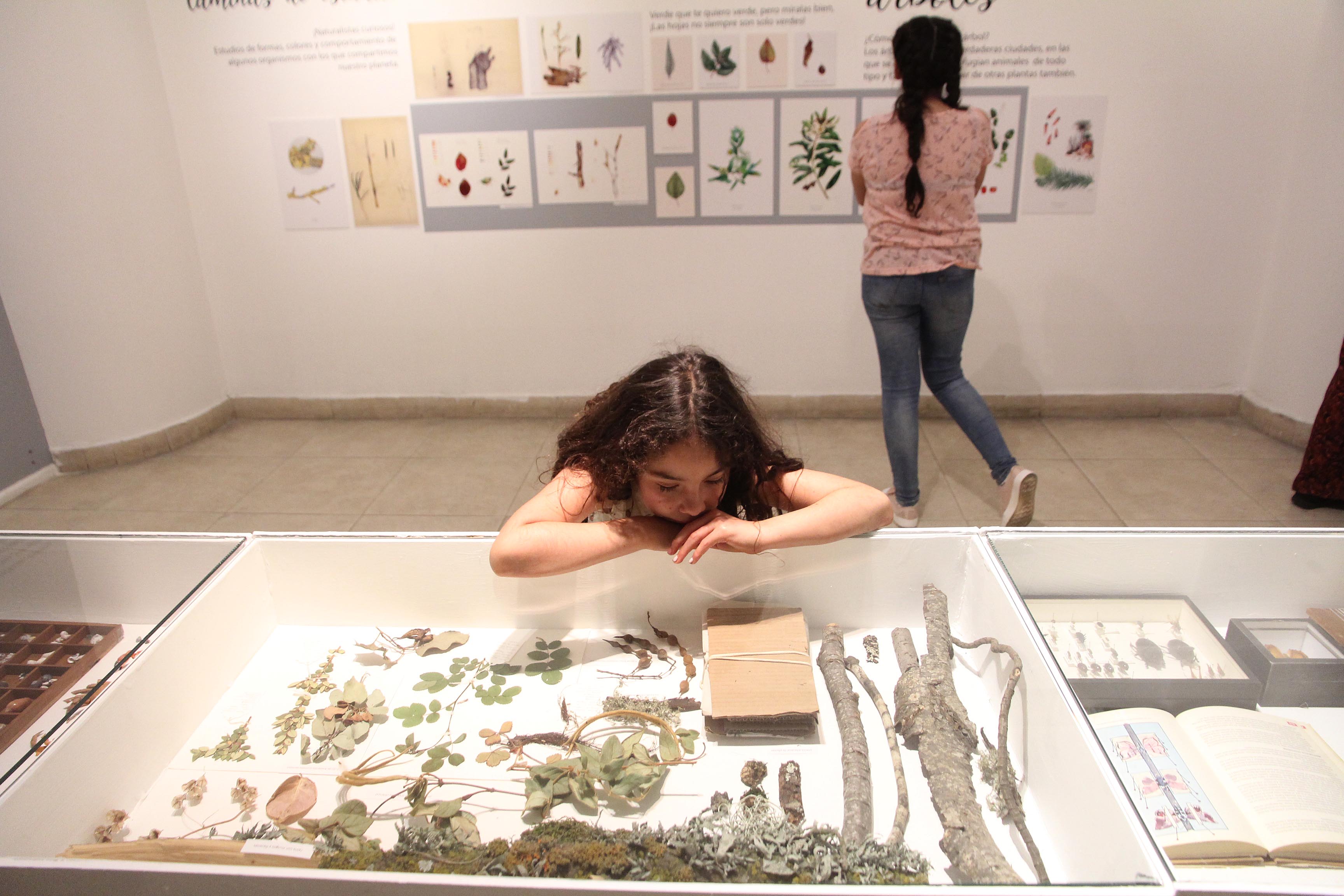 Exposicion CENTEX