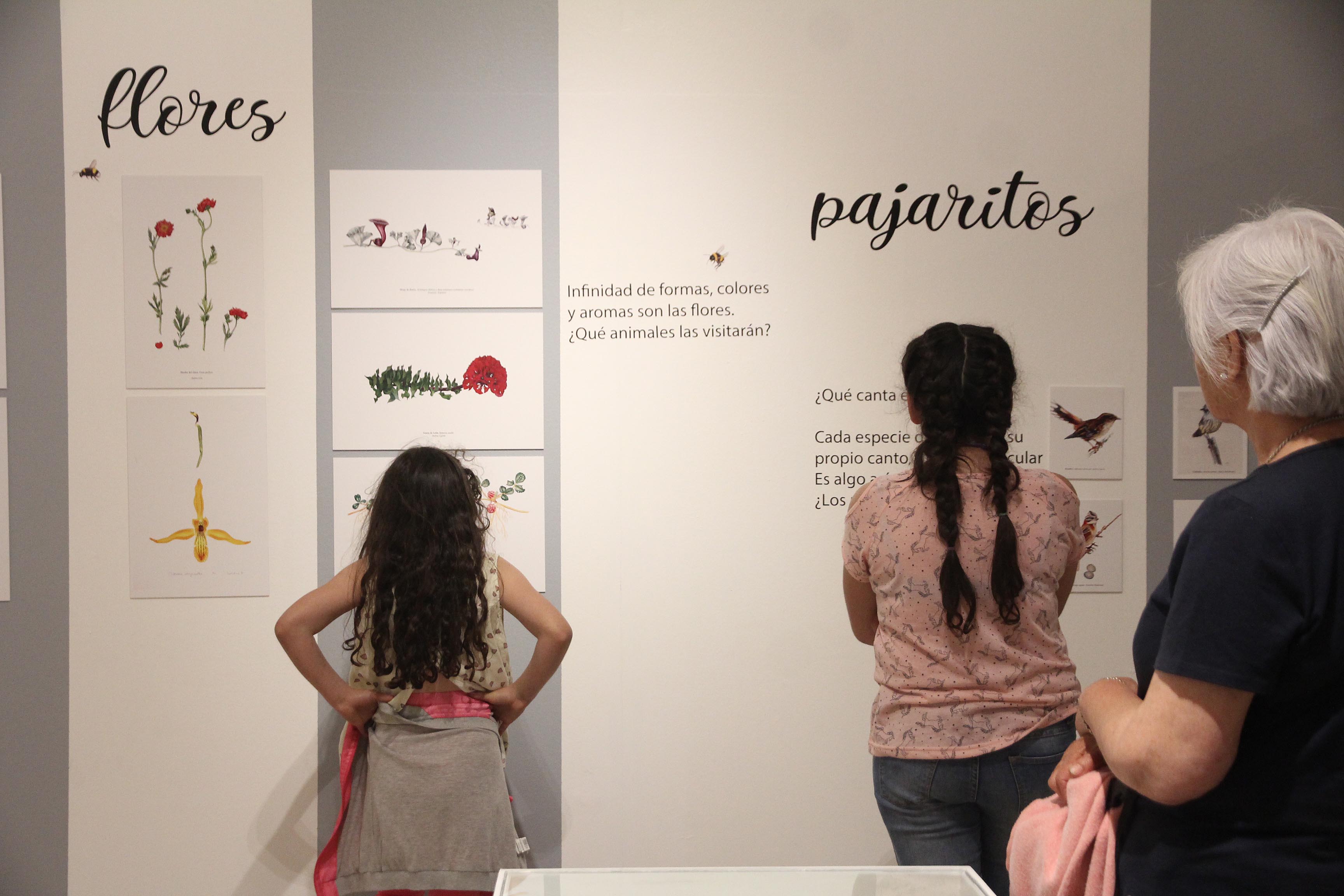 Exposicion CENTEX