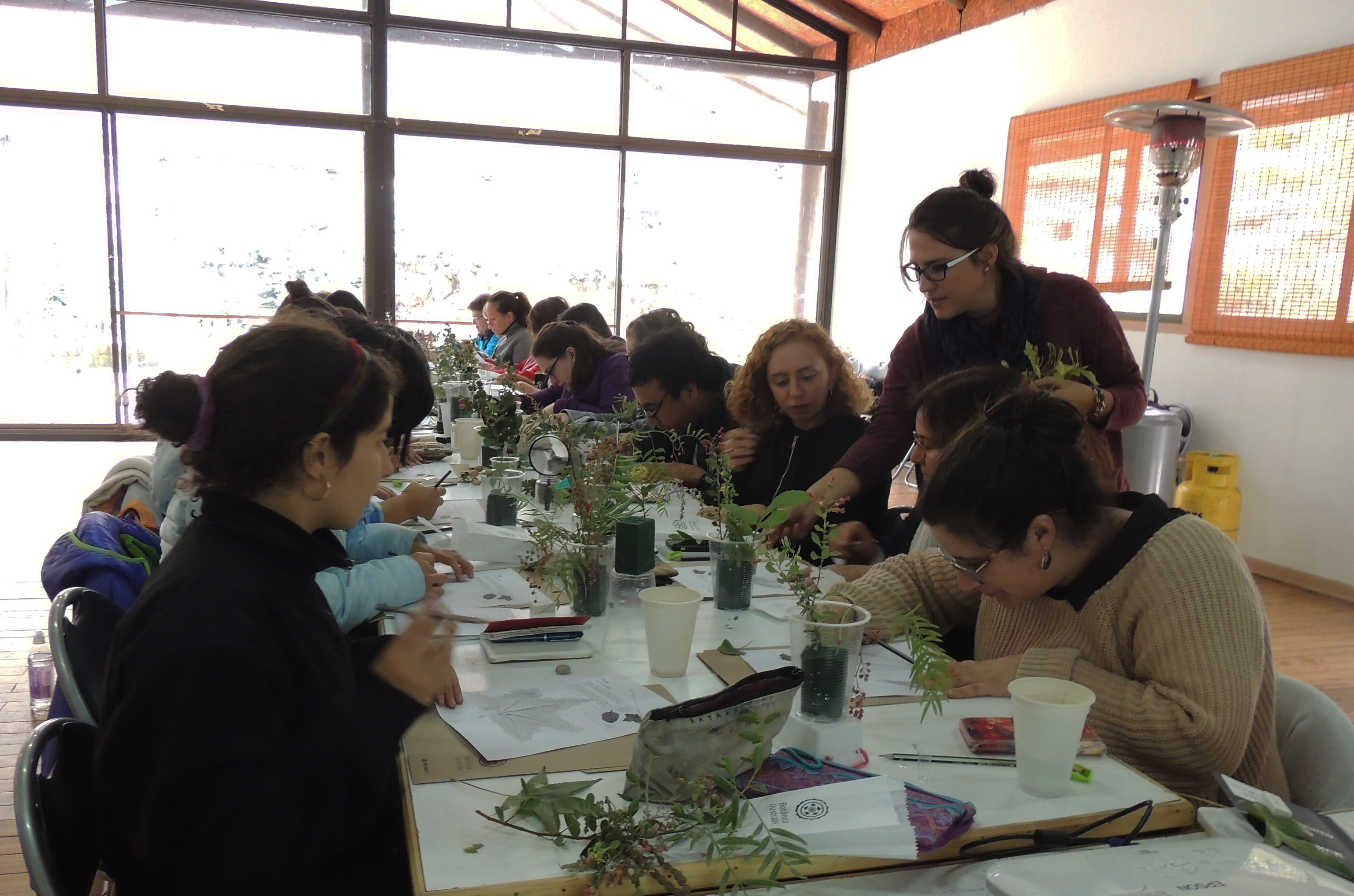 Taller Botanica ilustrada Bosque Stgo-abril17-374